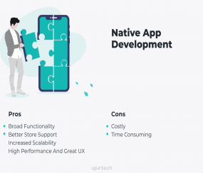 Native App Development