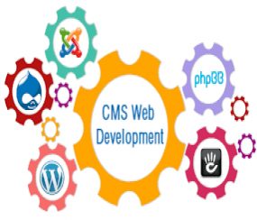 CMS Web Development
