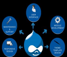 Drupal Web Development