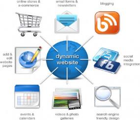 Dynamic Web Designing