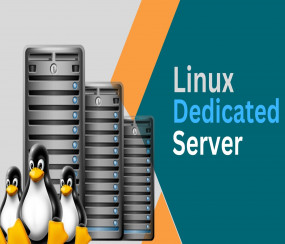 Linux Dedicated Servers