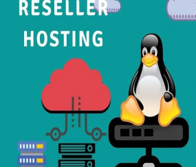 Reseller Web Hosting